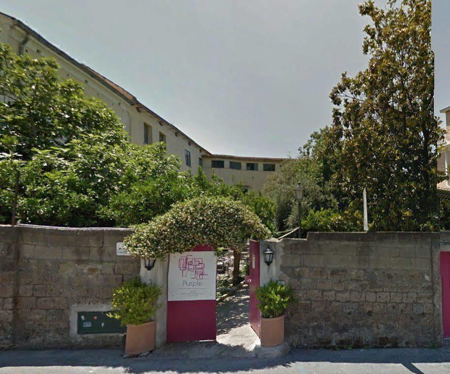 Purple Bed and Breakfast Sant'Agnello Exteriör bild